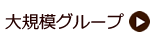 大規模グループ店
