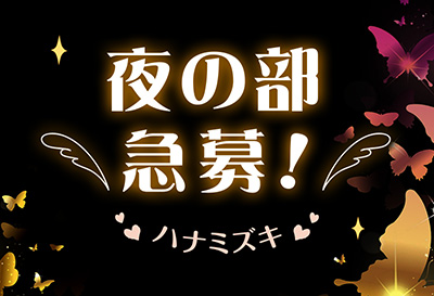 ハナミズキ画像③