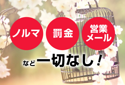 ラズベリー画像③